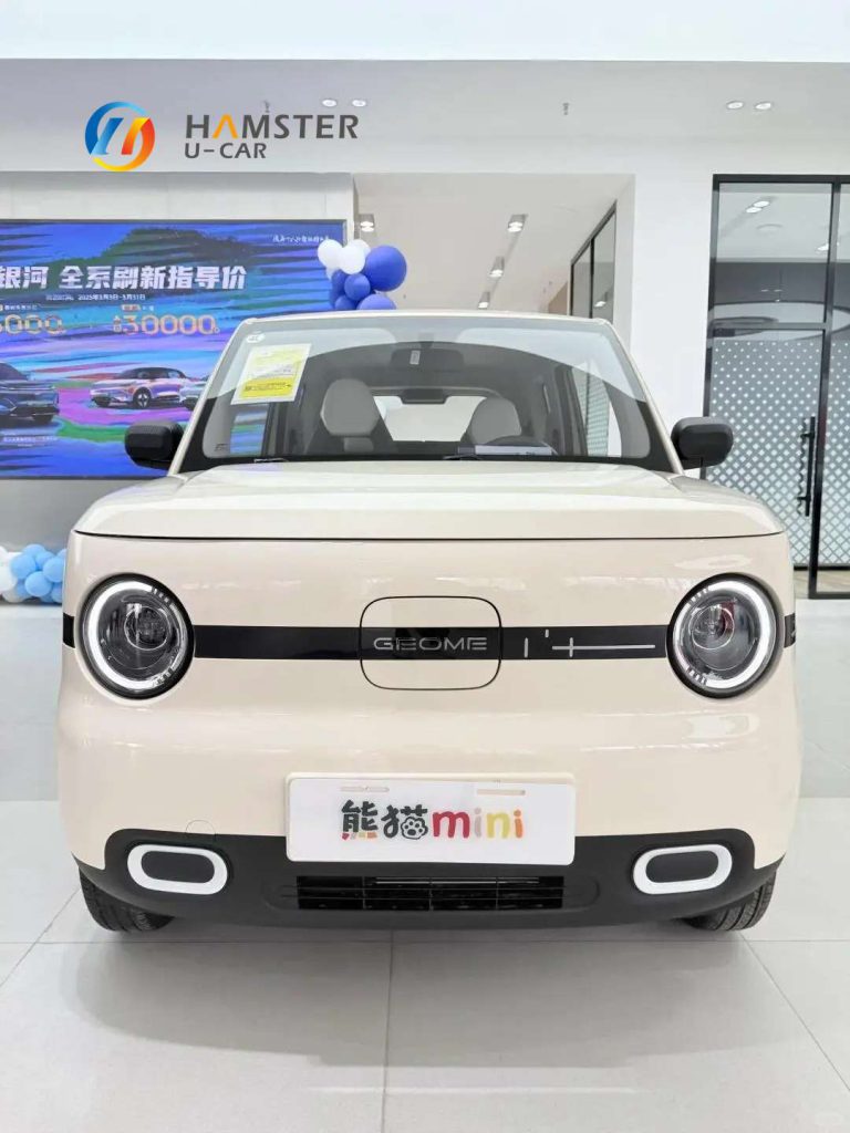 Geely Panda MINI EV Car New Energy Car Electric Fast Charging Mini Car for Adult