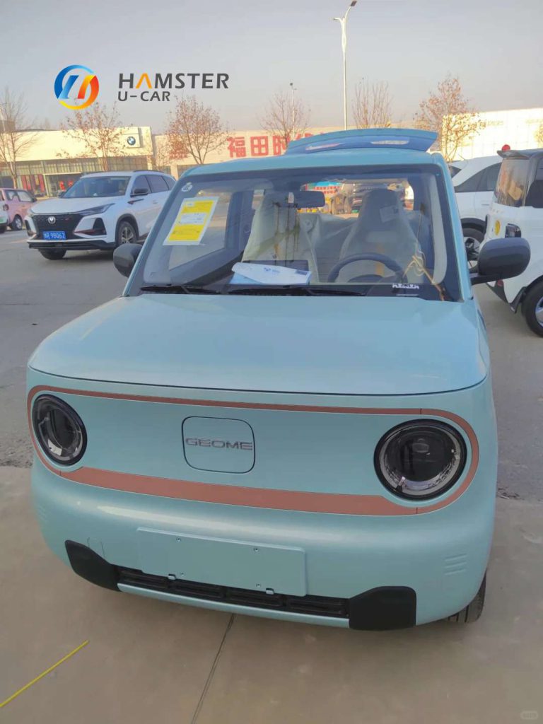 Geely Panda MINI EV Car New Energy Car Electric Fast Charging Mini Car for Adult